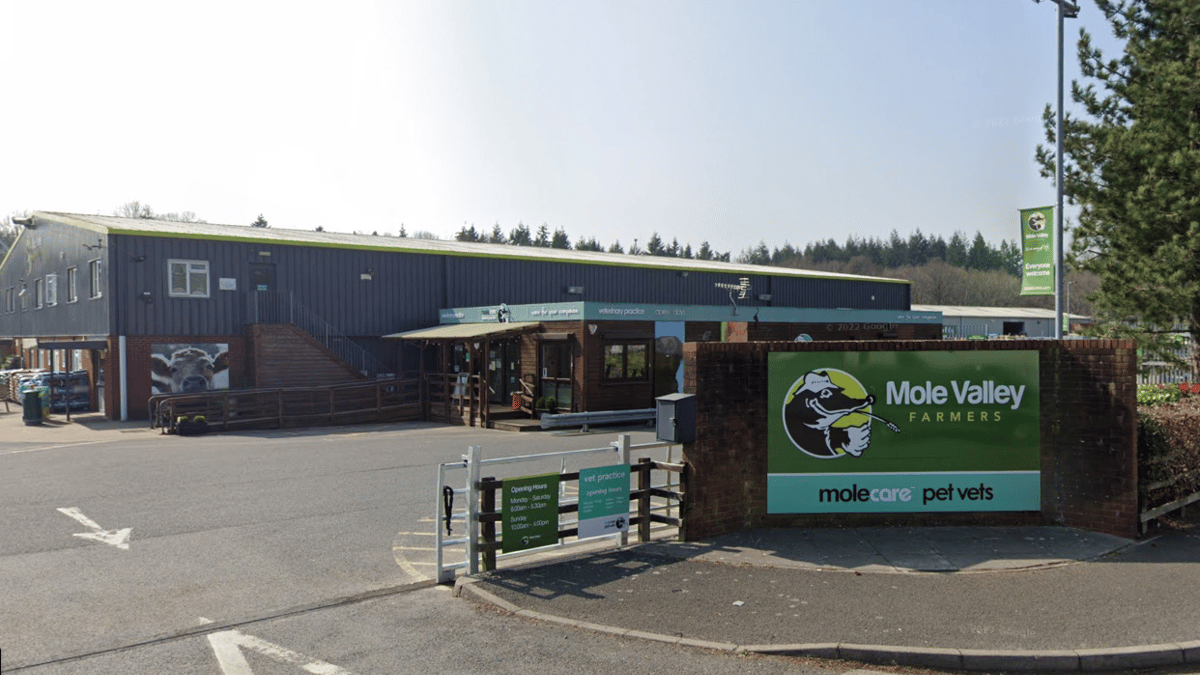 IT failure leaves Mole Valley Farmers paralysed tavistocktoday.co.uk